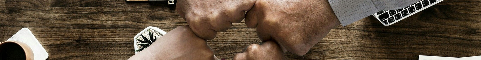 Light Business Consultants