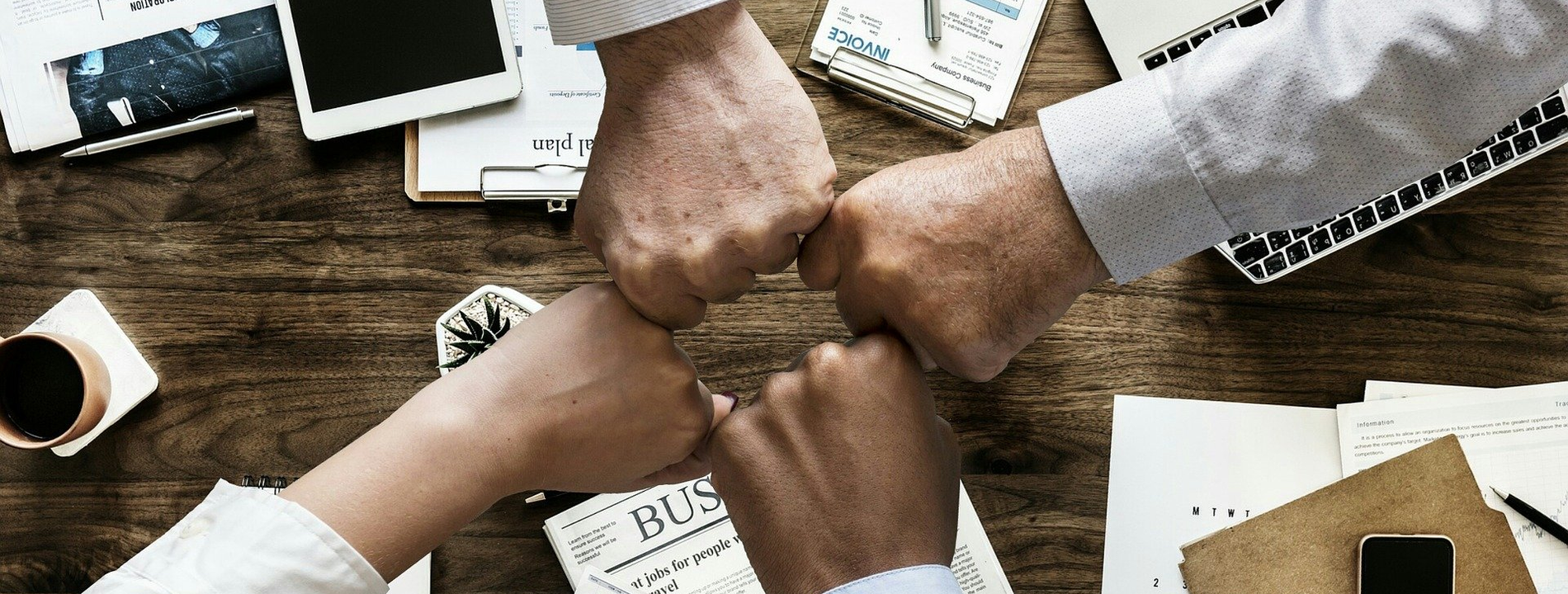 Light Business Consultants