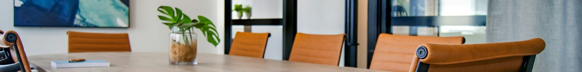 Light Business Consultants