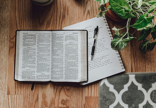 Light Business Consultants